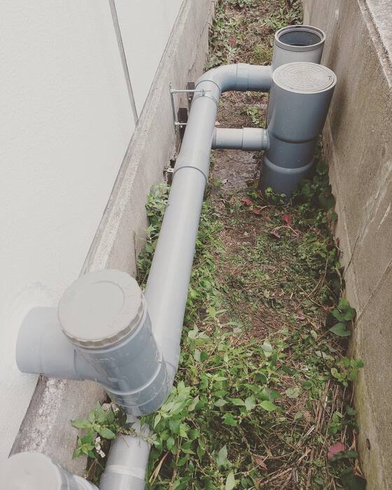 画像356